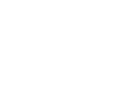 mt